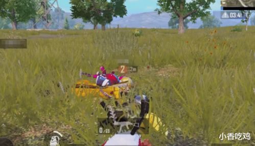 《CSGO2》炼狱小镇快速爬马棚花坛攻略揭秘