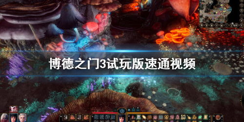《博德之门3》法师速通攻略：轻松通关全秘籍