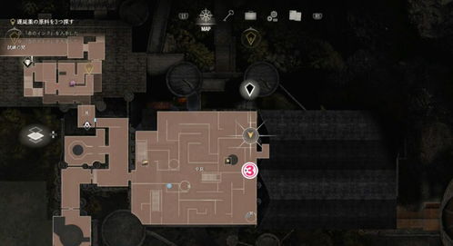 《生化4重制版》艾达DLC除虫行动2：悬赏攻略全解析