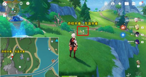 《原神》4.0光影研学：枫丹飞禽拍照圣地大揭秘