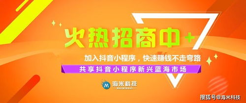 《霓虹城倒货攻略：百分百成功秘诀揭秘》