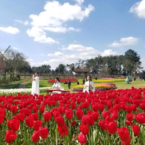 《星空农场攻略：温室种植与畜牧养殖全解析》
