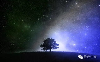 《星空星裔能力获取攻略:揭秘隐藏地点与强大效果》
《星空星裔能力全解析:探索神秘地点解锁超凡力量》
《星空星裔能力速查:快速掌握获取地点与强大效果》
《星空星裔能力揭秘:一网打尽获取地点与效果详解》
《星空星裔能力大揭秘:探索隐藏地点,解锁超能力》 《星空星裔能力获取攻略:揭秘隐藏地点与强大效果》
《星空星裔能力全解析:探索神秘地点解锁超凡力量》
《星空星裔能力速查:快速掌握获取地点与强大效果》
《星空星裔能力揭秘:一网打尽获取地点与效果详解》
《星空星裔能力大揭秘:探索隐藏地点,解锁超能力》