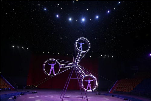 《星空画面设置攻略：打造梦幻视觉盛宴》