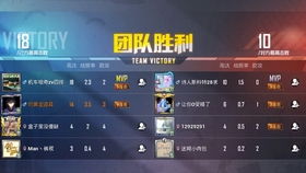 《星空船员分配攻略:高效组建精英团队》 《星空船员分配攻略:高效组建精英团队》