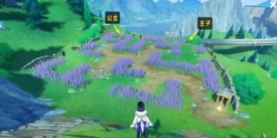 《原神》4.0花海秘境：解锁草地上隐藏任务攻略