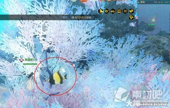 《逆水寒》老兵南海探秘攻略:汐梦潮歌任务速成秘籍 《逆水寒》老兵南海探秘攻略:汐梦潮歌任务速成秘籍