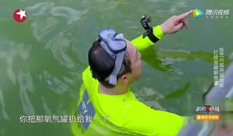 《戴夫潜水极限挑战：开局攻略揭秘》