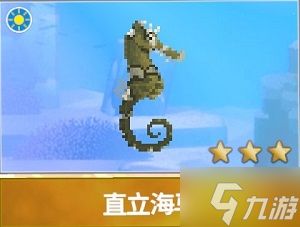 《戴夫潜水全海马图鉴：捕获攻略一网打尽》