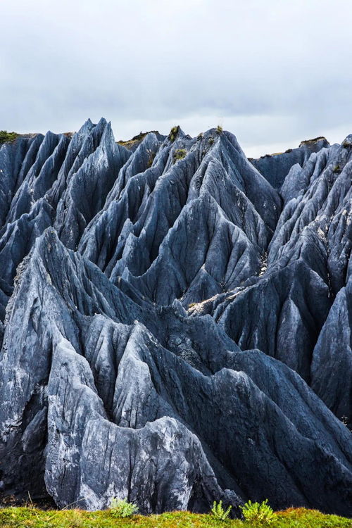 《深海探险地图全解析：戴夫潜水员宝藏点揭秘》