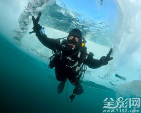 《戴夫潜水寻海马：鲛人村攻略大揭秘》