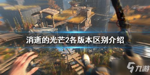 《河狸谷秘境探秘：消逝光芒新预告》