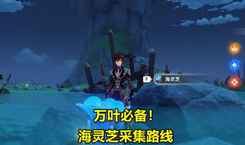 《原神》枫原万叶突破必备：海灵芝高效收集攻略！