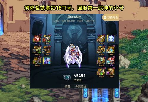 《原神纳维莱特圣遗物搭配秘籍，轻松提升战力》