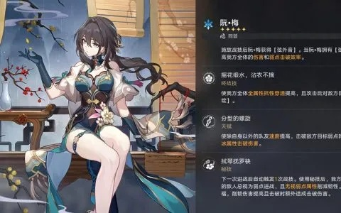 崩坏星穹铁道：阮梅遗器搭配攻略，最强组合推荐！