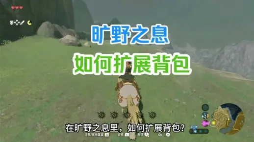 《塞尔达传说》速成攻略：轻松开满背包！