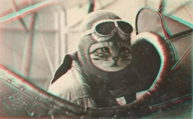 《死亡搁浅2》猫猫互动消失?玩家热议“盯裆猫”不再挨打 《死亡搁浅2》猫猫互动消失?玩家热议“盯裆猫”不再挨打