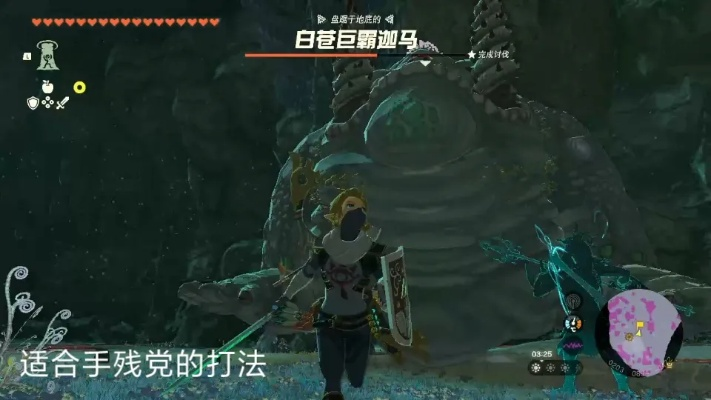 《塞尔达传说》白仓巨霸伽马攻略：轻松击败技巧揭秘