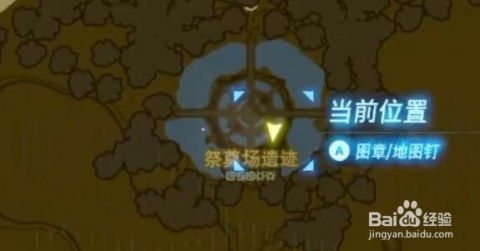 《塞尔达传说》五连人马战，乌龟流速刷法攻略揭秘