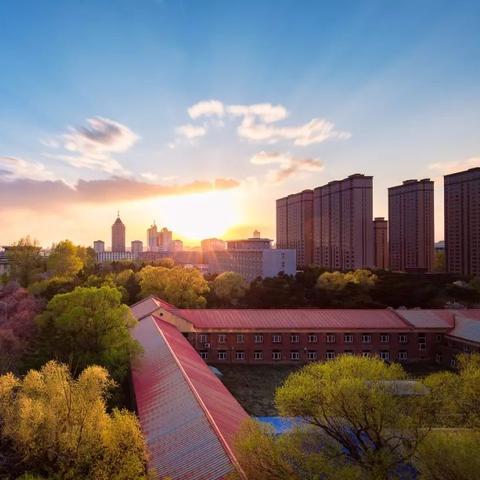 《东北之夏2》剧情全解析：攻略视频攻略汇总