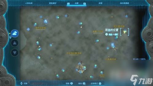 《塞尔达传说》白金色左纳乌滑翔伞布料攻略揭秘