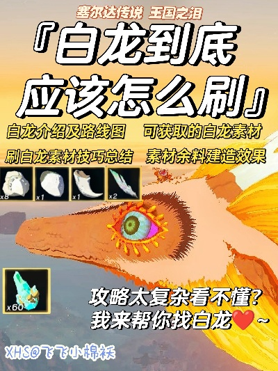 《塞尔达传说》新英杰服升级必备：白龙素材攻略秘籍