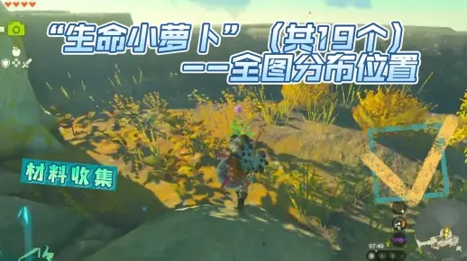 《塞尔达传说》生命小萝卜隐藏位置大揭秘！