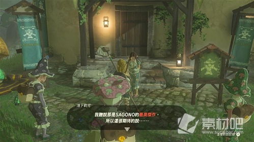 《塞尔达传说》萨格诺帽攻略：哈特诺村村长竞选全流程揭秘