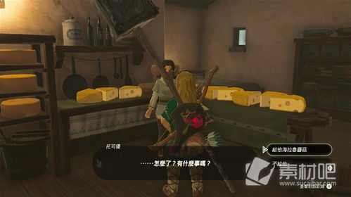 《塞尔达传说》萨格诺帽攻略：哈特诺村村长竞选全流程揭秘