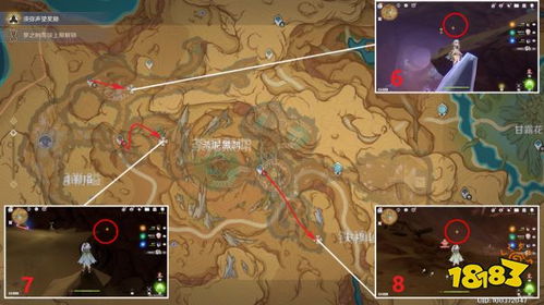 《原神》净光翎位置揭秘：探寻神秘翎之所在