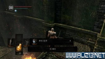 《生化4重制版》雷蒙城主攻略：高效打法解析