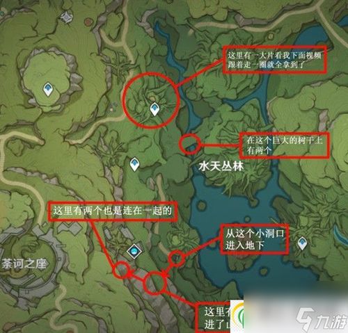 《原神》蕈兽速刷攻略：3.5版本高效路线曝光