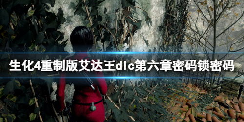 《生化4重制版》村长无伤攻略：专家难度轻松破！