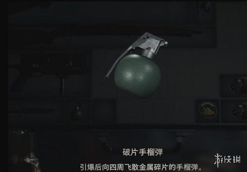 《生化4重制版》独角仙隐藏位置揭秘！
独角仙寻宝攻略：生化4重制版隐藏地点全解析
生化4重制版独角仙速刷指南，轻松解锁！