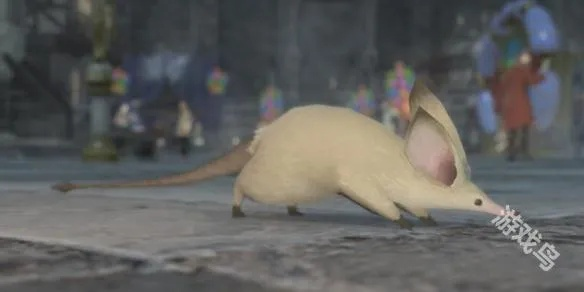 《FF14水晶世界松鼠宝箱全搜集秘籍曝光》