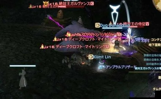 《FF14塔姆塔拉墓园攻略：轻松通关秘籍》