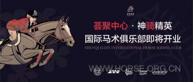 《巴尔的遗产》独家揭秘：如何轻松招募S级精英佣兵