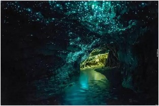 《剑星》拍照圣地：如梦如蝶美景攻略揭秘