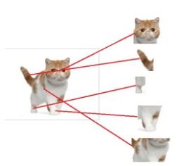 《剑星》神经元链接紧身服获取秘籍，猫咪摄影展猫咪分布全揭秘