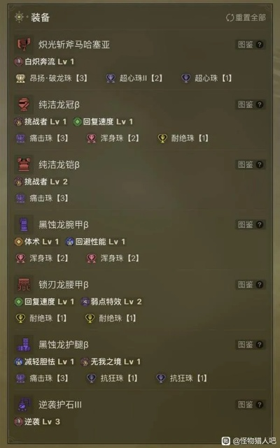 《荒野铳枪白炽龙攻略：生存向配装秘籍》