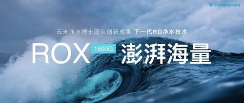 《云族裔inzoi》揭秘：探索浪漫人生理想生活新境界