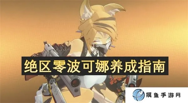 《波可娜养成秘籍：绝区零最强辅助养成攻略》
