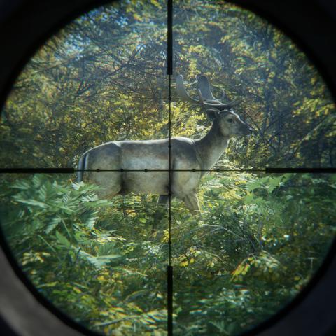 《荒野猎人》全武器毕业神装攻略,轻松毕业不是梦 《荒野猎人》全武器毕业神装攻略,轻松毕业不是梦