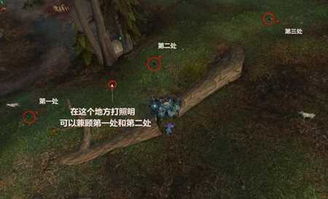 《荒野猎人》端丽翼鸟捕获攻略：神秘位置大揭秘