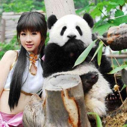 《荒野猎人麻醉球素材速刷攻略：隐藏采集点揭秘》