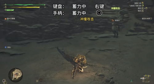 《荒野猎人太刀入门攻略：新手必看操作技巧》