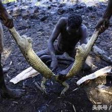 《荒野猎人钓鱼攻略：隐藏钓鱼点大揭秘》