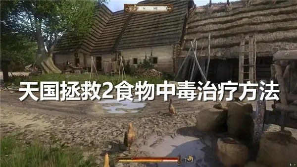 《天国拯救2》急救攻略:食物中毒如何自救? 《天国拯救2》急救攻略:食物中毒如何自救?