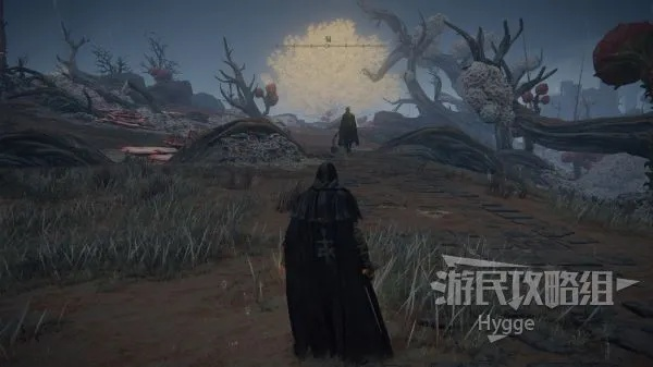 《艾尔登法环》双吻毒蛾战灰攻略：高效获取技巧揭秘