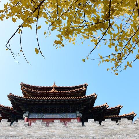 《大侠立志传》修罗难度快速解锁攻略，轻松挑战高难度！